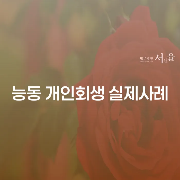 능동 개인회생 실제사례