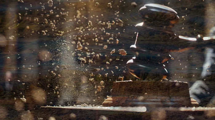 청원변호사 상담